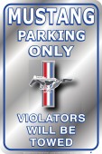 Ford_parking01